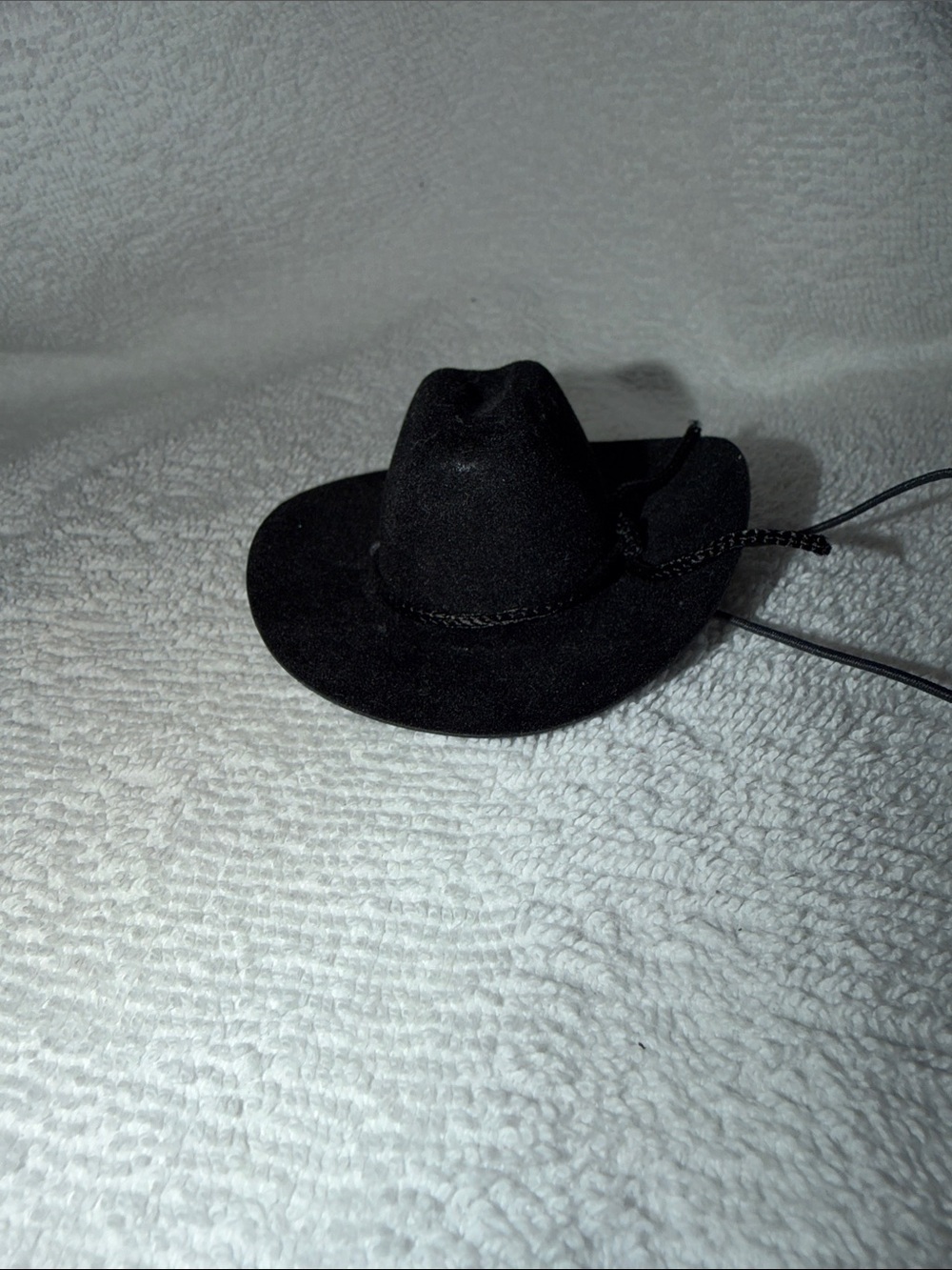 Pet Black Mini Cowboy Hat with Chin Cord Bearded Dragon